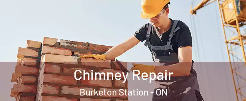  Chimney Repair Burketon Station - ON