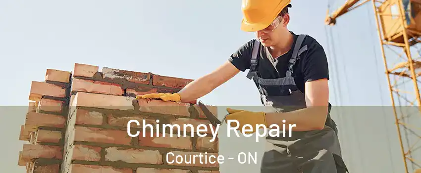  Chimney Repair Courtice - ON