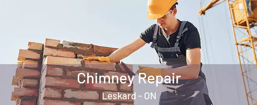  Chimney Repair Leskard - ON