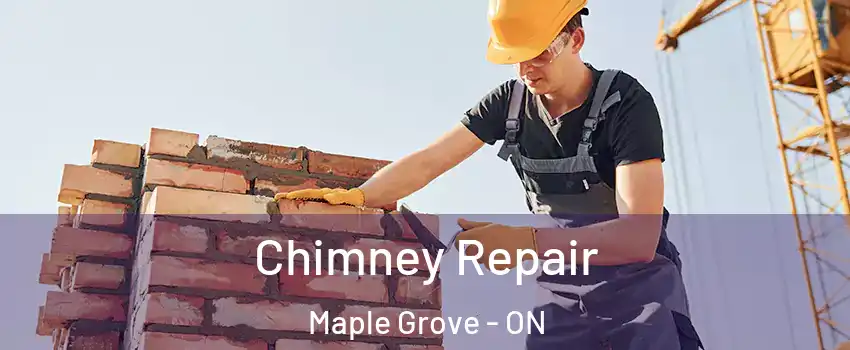  Chimney Repair Maple Grove - ON