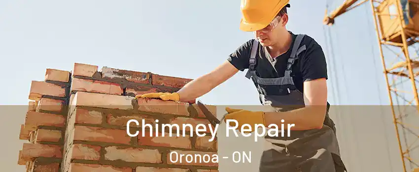  Chimney Repair Oronoa - ON