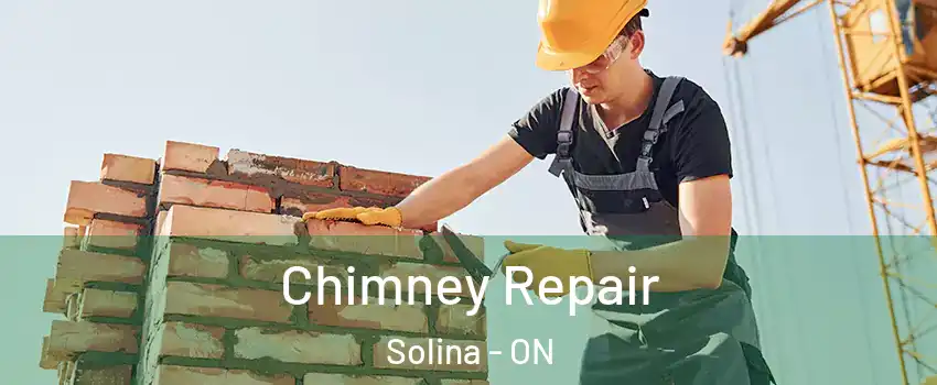  Chimney Repair Solina - ON