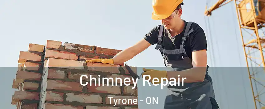  Chimney Repair Tyrone - ON