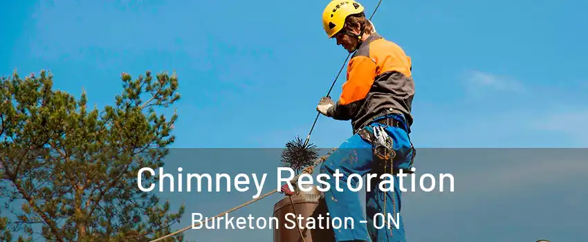  Chimney Restoration Burketon Station - ON