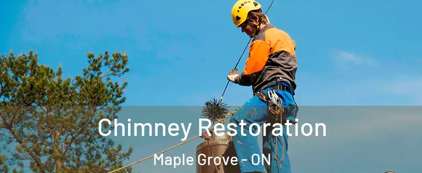  Chimney Restoration Maple Grove - ON