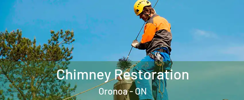  Chimney Restoration Oronoa - ON