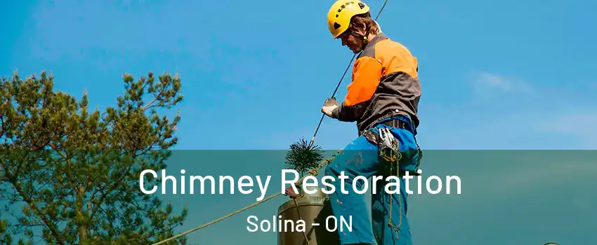  Chimney Restoration Solina - ON