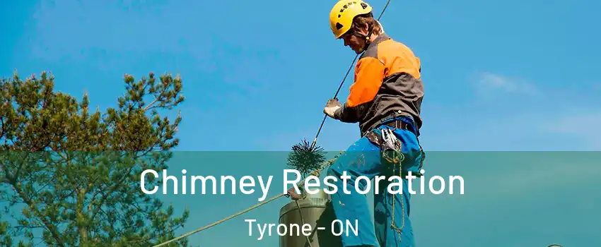  Chimney Restoration Tyrone - ON