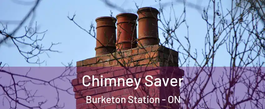  Chimney Saver Burketon Station - ON