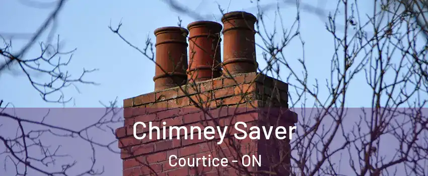  Chimney Saver Courtice - ON