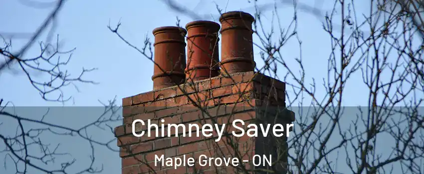  Chimney Saver Maple Grove - ON