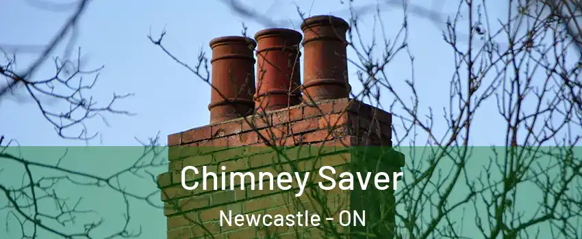  Chimney Saver Newcastle - ON