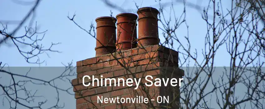  Chimney Saver Newtonville - ON
