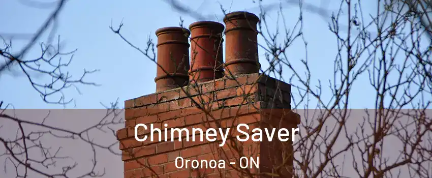 Chimney Saver Oronoa - ON