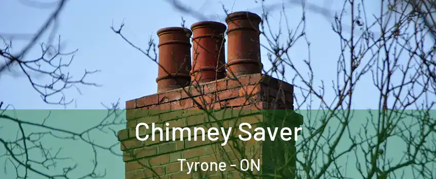  Chimney Saver Tyrone - ON