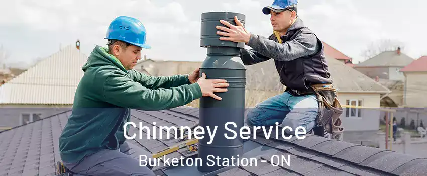  Chimney Service Burketon Station - ON
