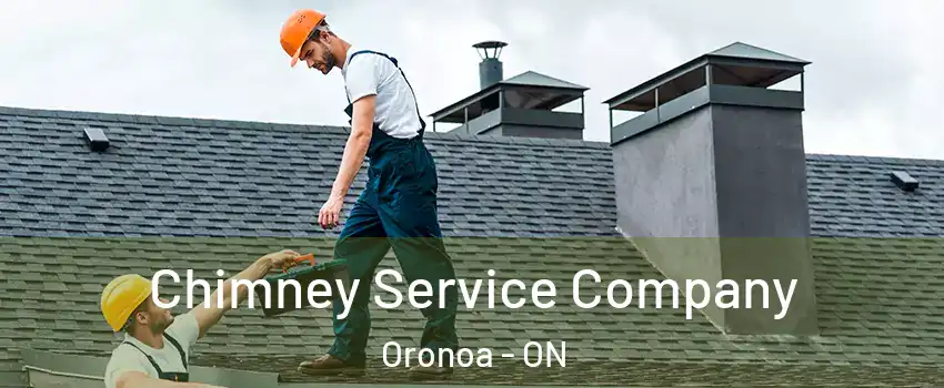  Chimney Service Company Oronoa - ON