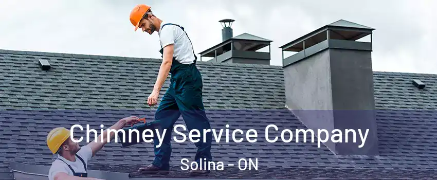  Chimney Service Company Solina - ON