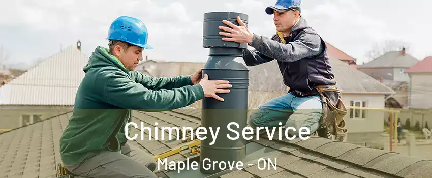  Chimney Service Maple Grove - ON