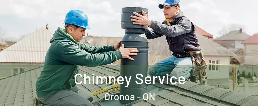  Chimney Service Oronoa - ON