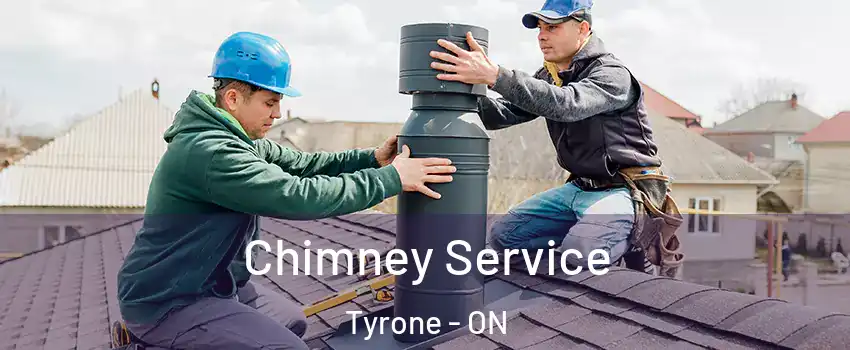  Chimney Service Tyrone - ON