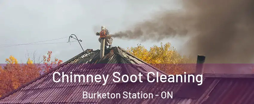  Chimney Soot Cleaning Burketon Station - ON