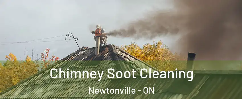  Chimney Soot Cleaning Newtonville - ON