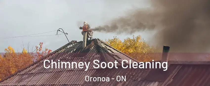  Chimney Soot Cleaning Oronoa - ON