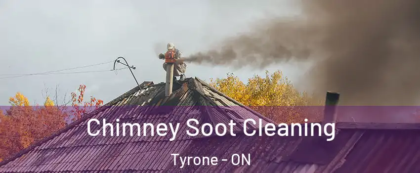  Chimney Soot Cleaning Tyrone - ON