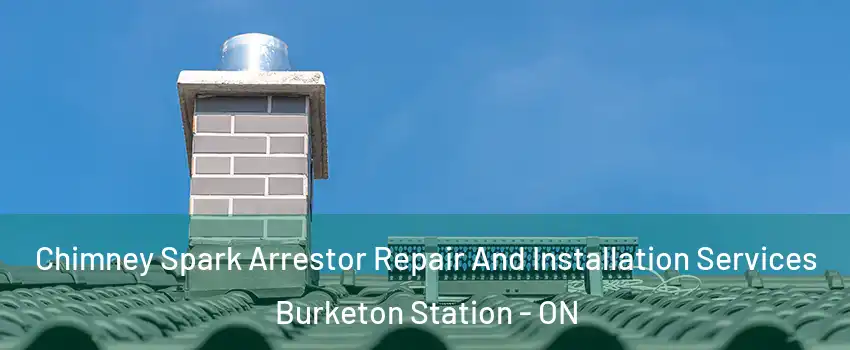  Chimney Spark Arrestor Repair And Installation Services Burketon Station - ON