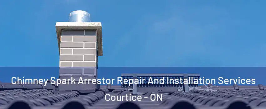  Chimney Spark Arrestor Repair And Installation Services Courtice - ON