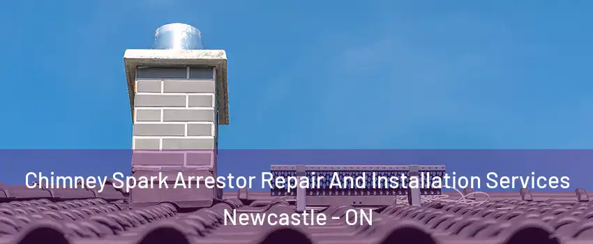 Chimney Spark Arrestor Repair And Installation Services Newcastle - ON