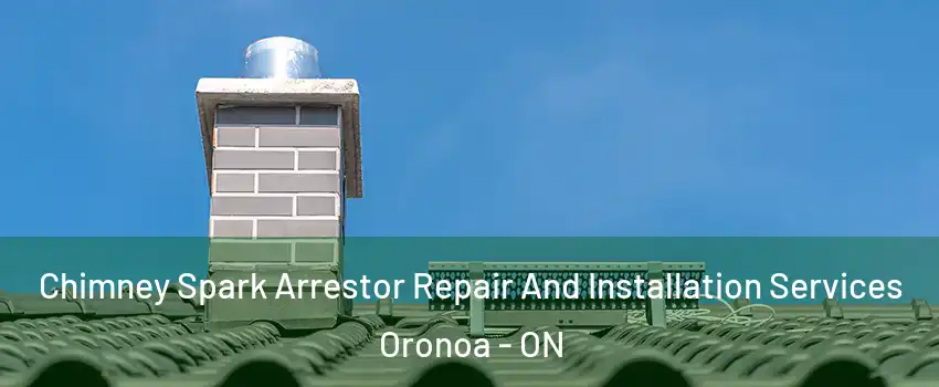  Chimney Spark Arrestor Repair And Installation Services Oronoa - ON