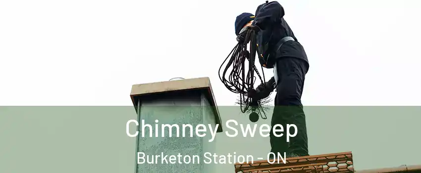  Chimney Sweep Burketon Station - ON