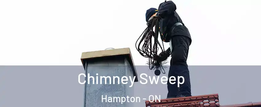  Chimney Sweep Hampton - ON
