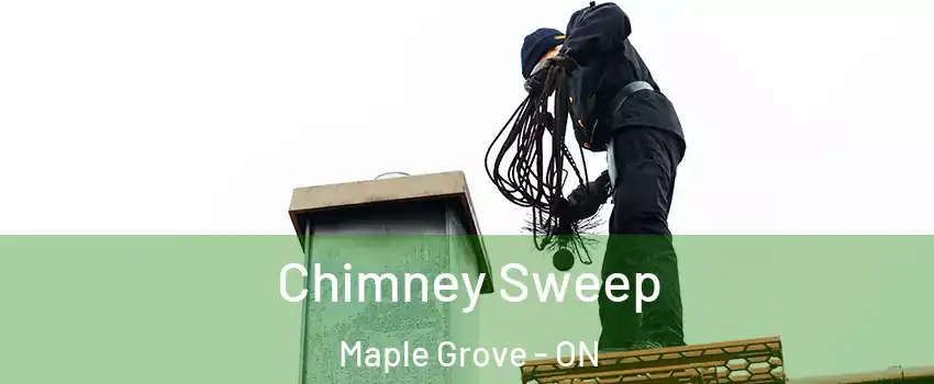  Chimney Sweep Maple Grove - ON