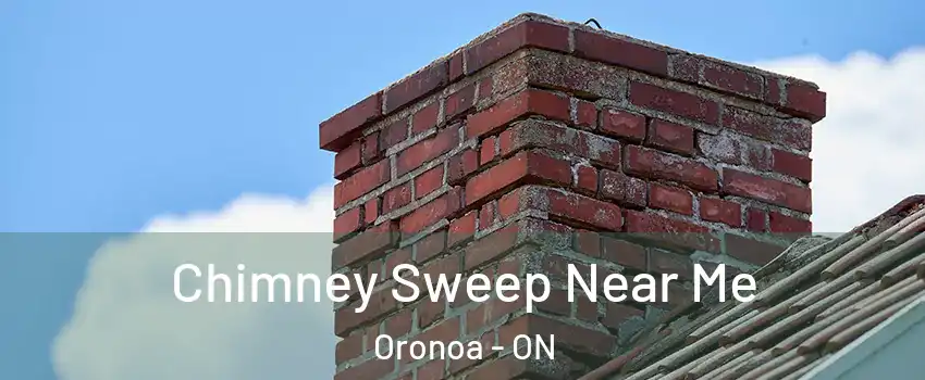  Chimney Sweep Near Me Oronoa - ON