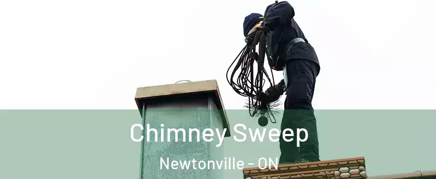  Chimney Sweep Newtonville - ON