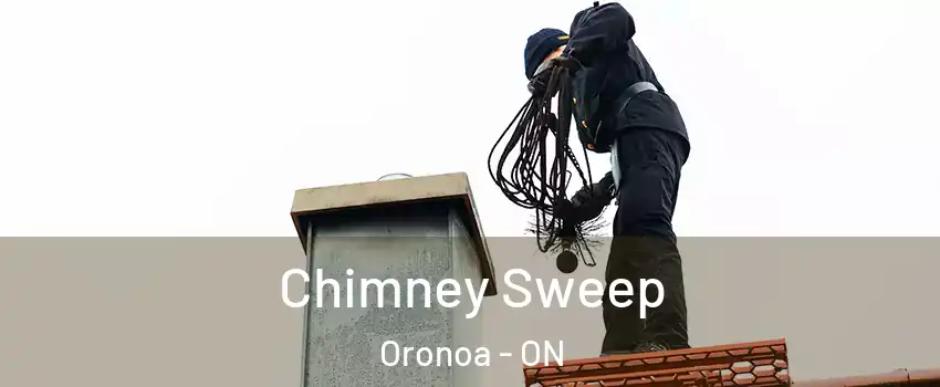  Chimney Sweep Oronoa - ON