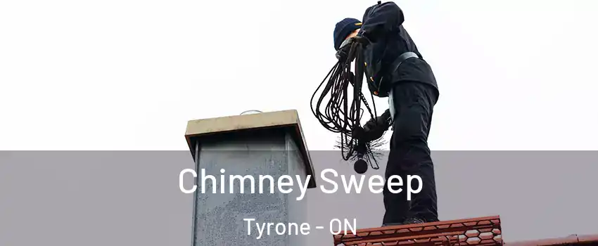  Chimney Sweep Tyrone - ON