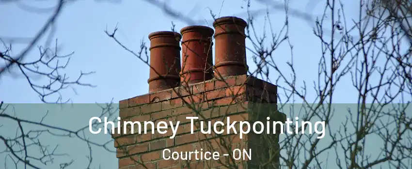  Chimney Tuckpointing Courtice - ON