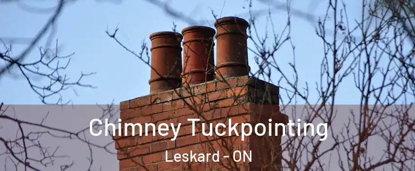  Chimney Tuckpointing Leskard - ON