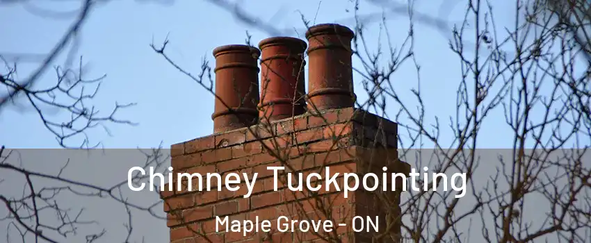  Chimney Tuckpointing Maple Grove - ON