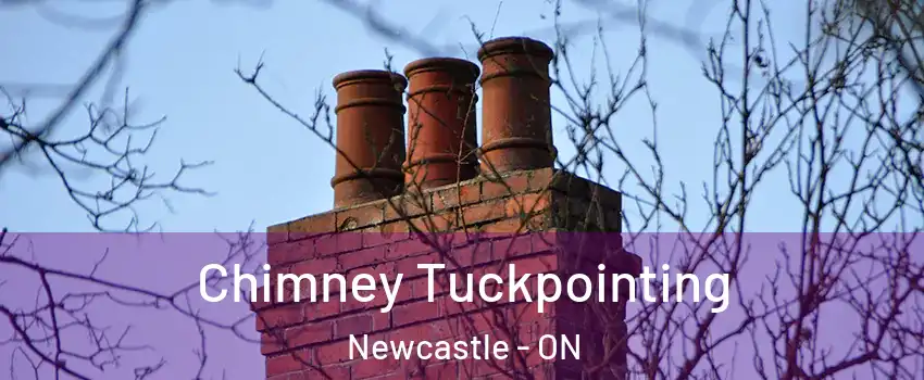  Chimney Tuckpointing Newcastle - ON