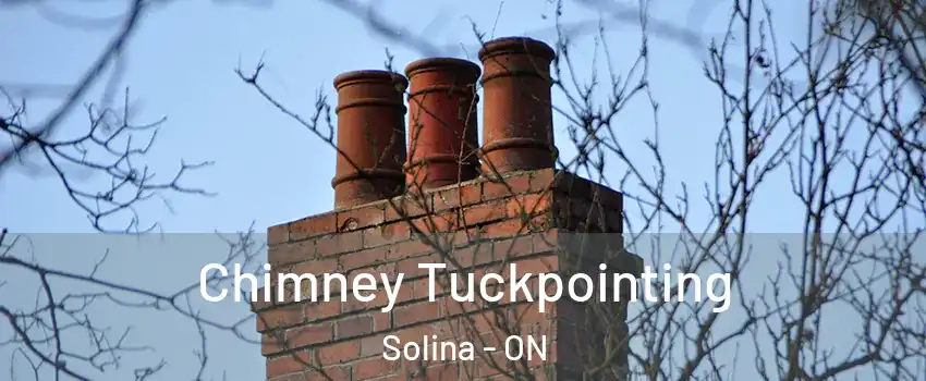  Chimney Tuckpointing Solina - ON