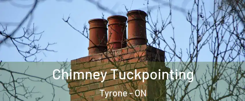  Chimney Tuckpointing Tyrone - ON