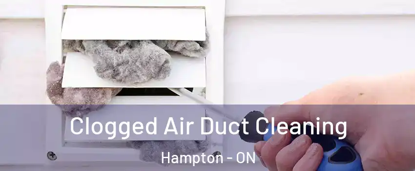  Clogged Air Duct Cleaning Hampton - ON