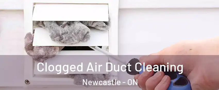  Clogged Air Duct Cleaning Newcastle - ON