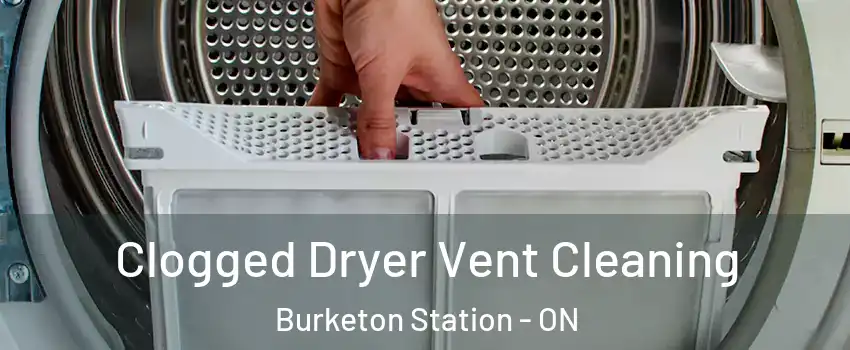  Clogged Dryer Vent Cleaning Burketon Station - ON