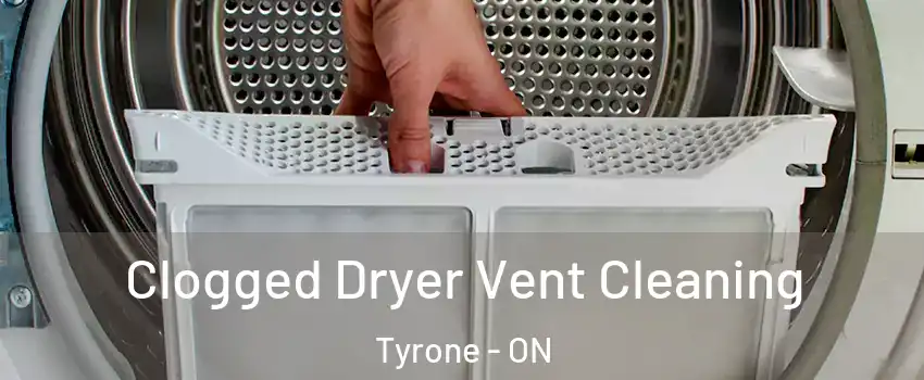  Clogged Dryer Vent Cleaning Tyrone - ON